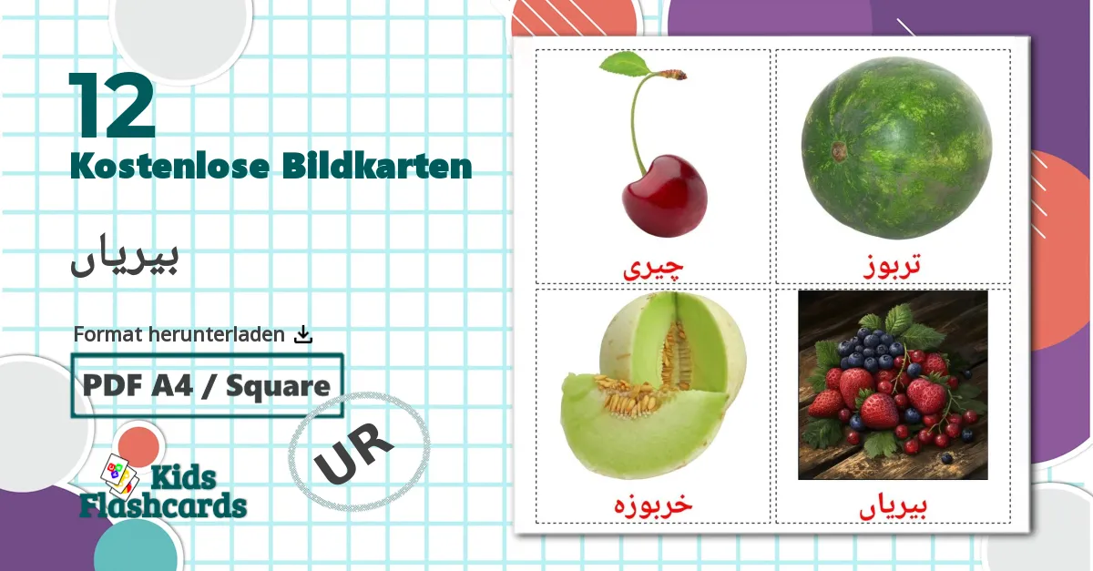 12 Bildkarten für بیریاں