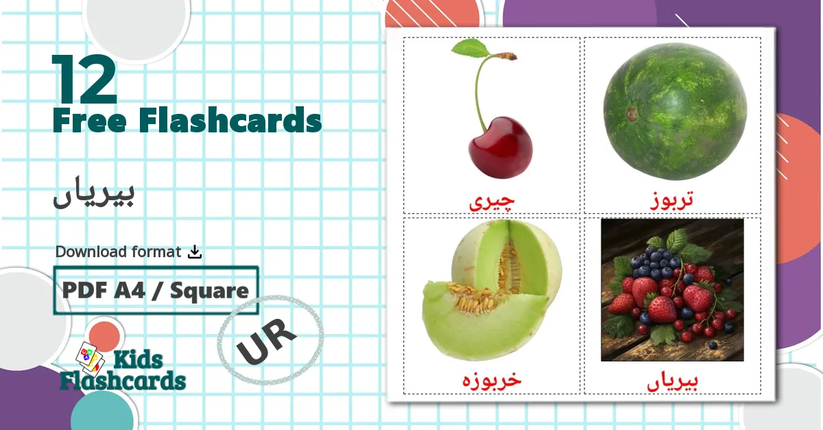 12 بیریاں flashcards