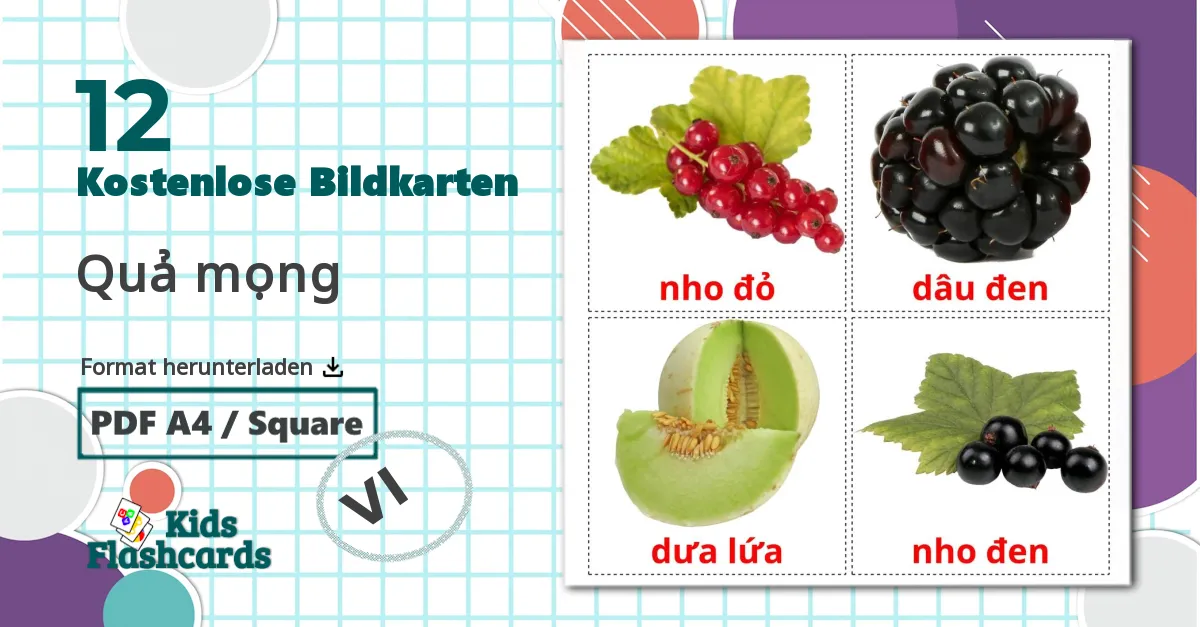 12 Bildkarten für Quả mọng