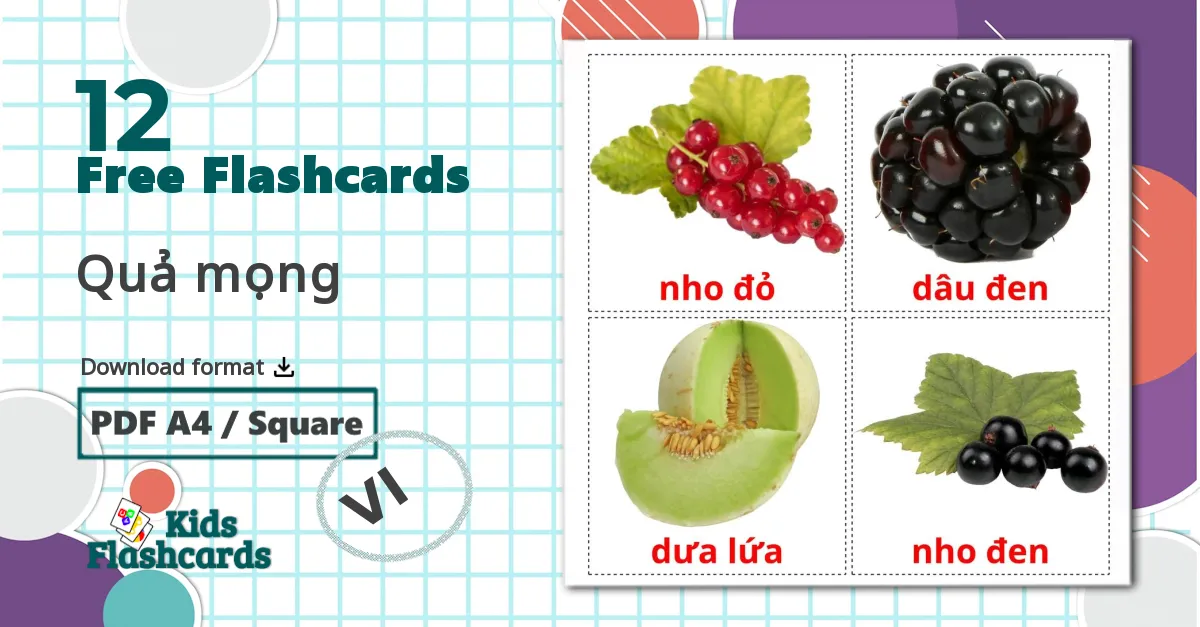 12 Quả mọng flashcards