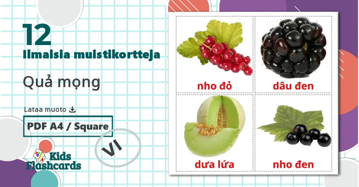 12 Quả mọng lasten kuvakortit