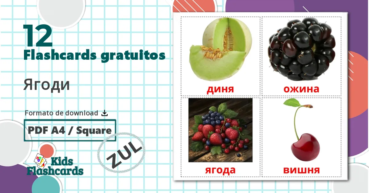 12 Flashcards de Bagas