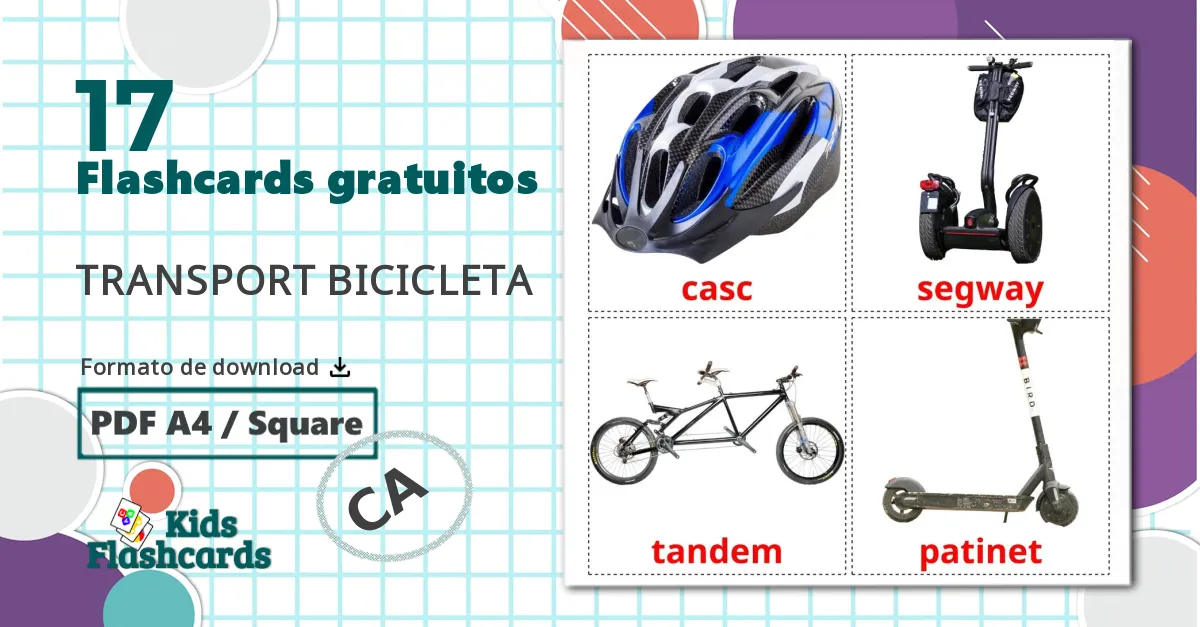 17 Flashcards de Transporte de Bicicleta