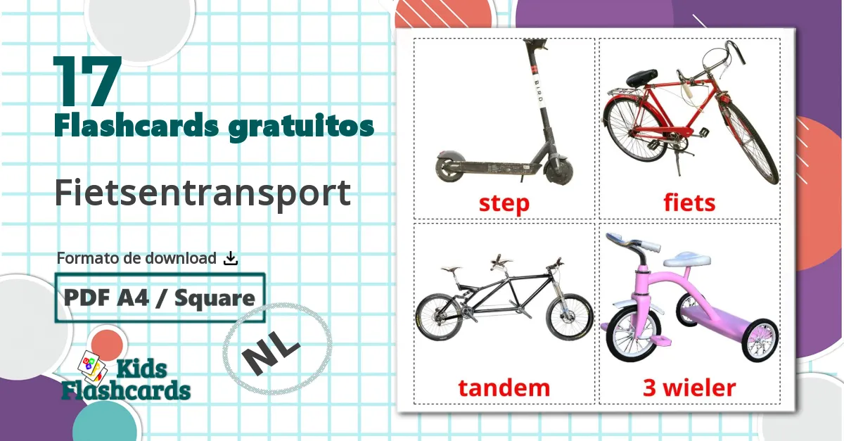 17 Flashcards de Fietsentransport