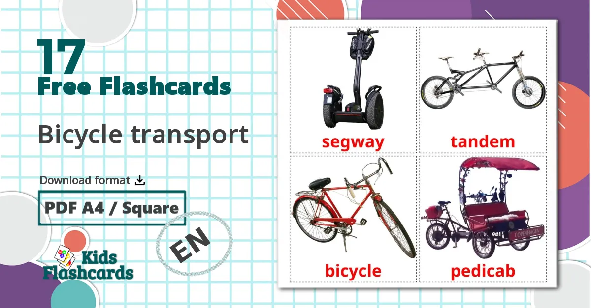 17 Bicycle transport flashcards