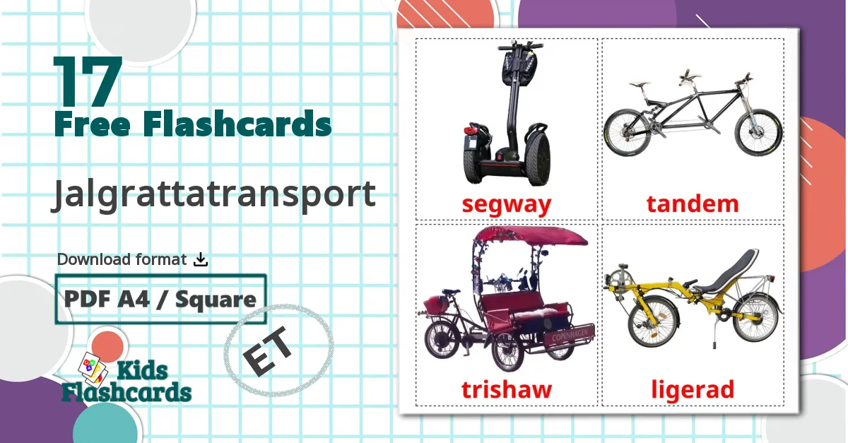 17 Bicycle transport flashcards