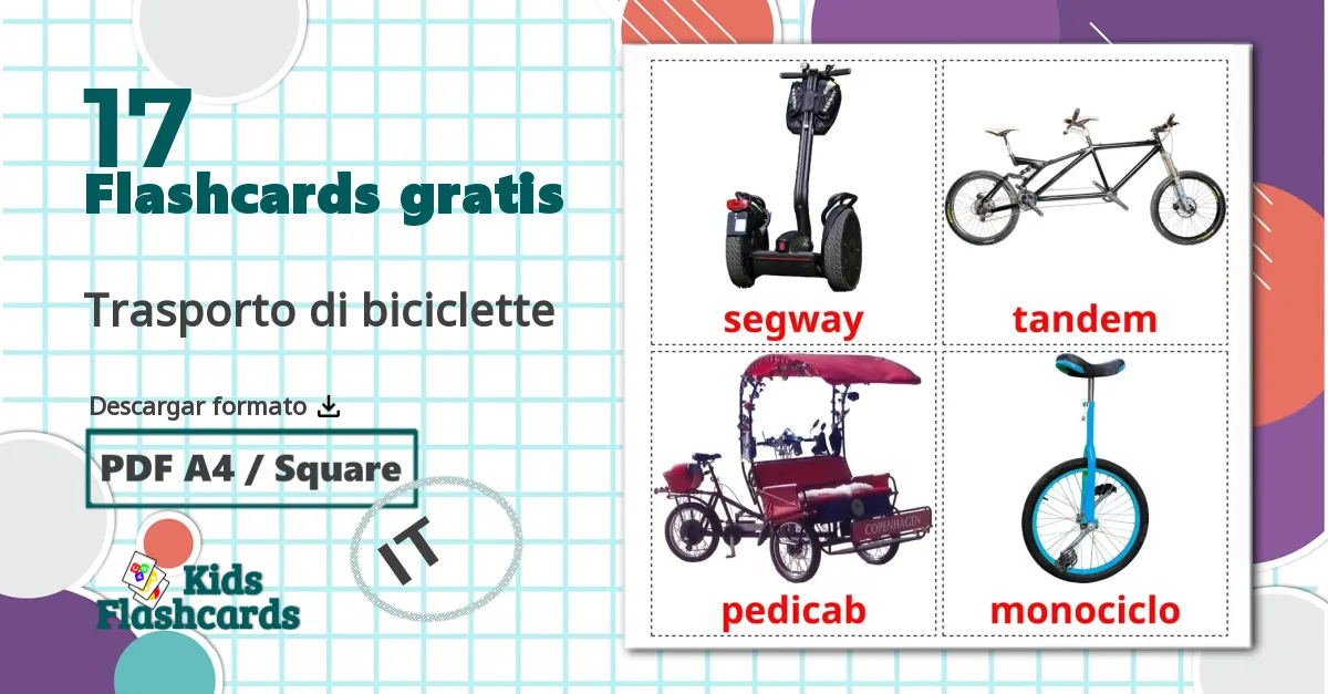 17 Trasporto di biciclette flashcards