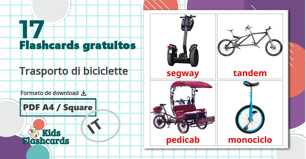 17 Flashcards de Trasporto di biciclette