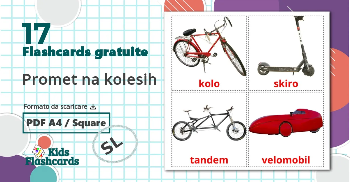 17 flashcards di Trasporto di biciclette