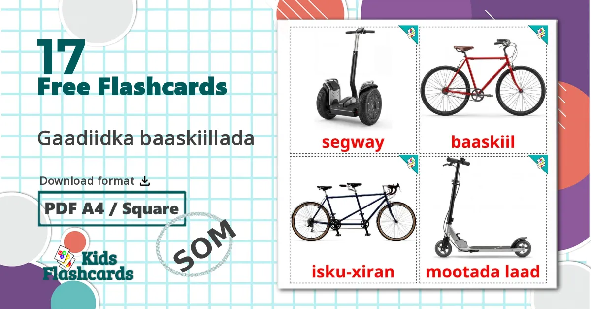 17 Bicycle transport flashcards