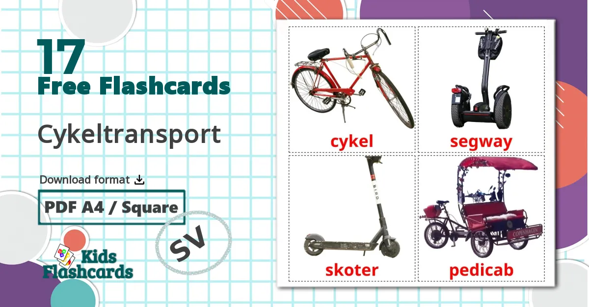 17 Cykeltransport flashcards