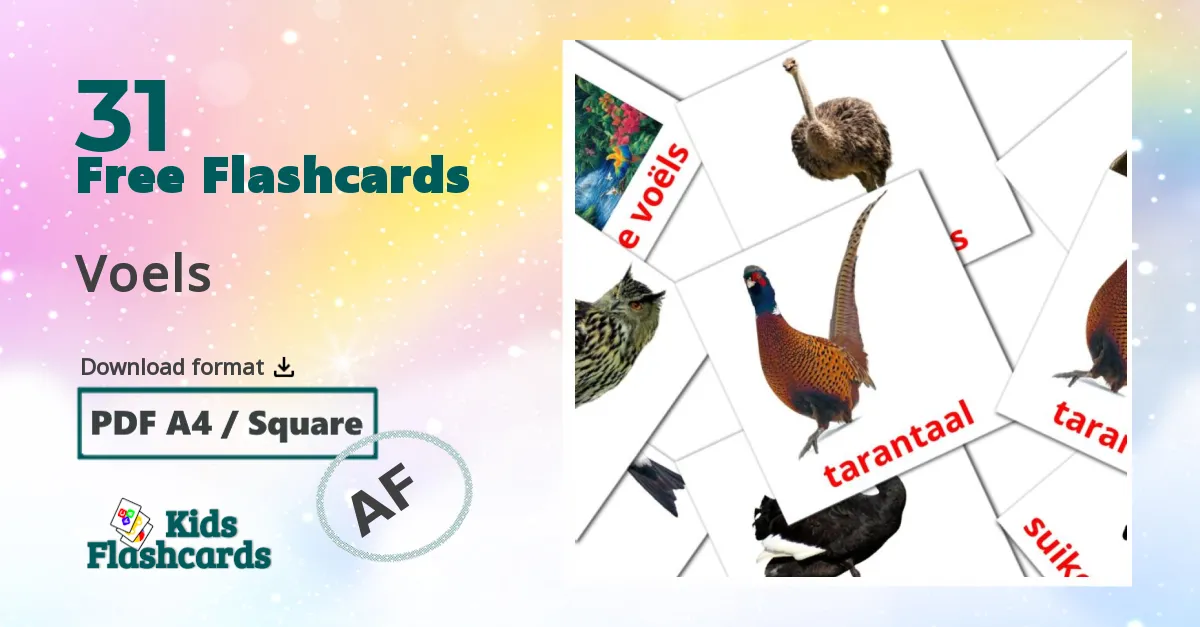 Birds flashcards