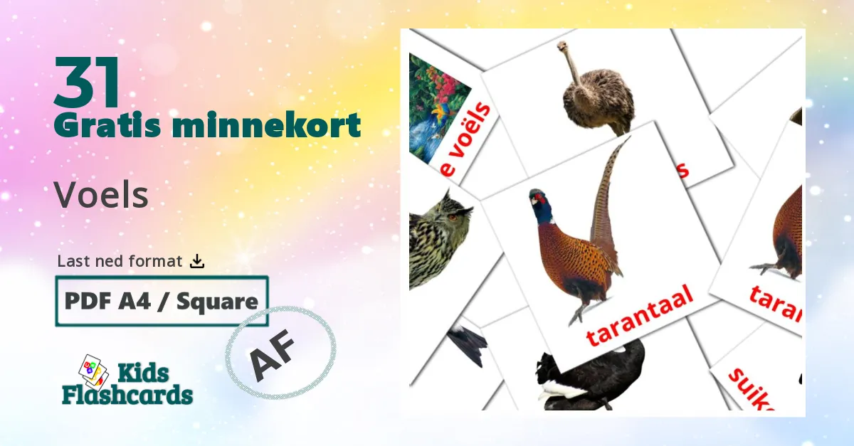 Voels bildekort for barn på afrikaans