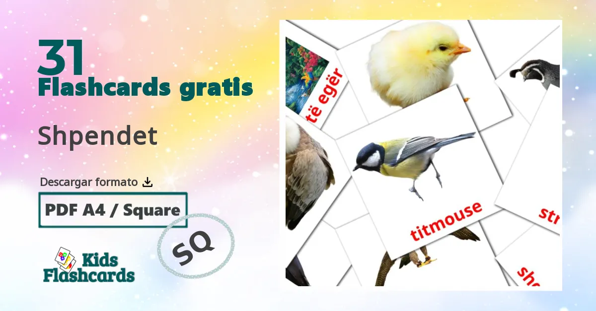 tarjetas didacticas de Aves