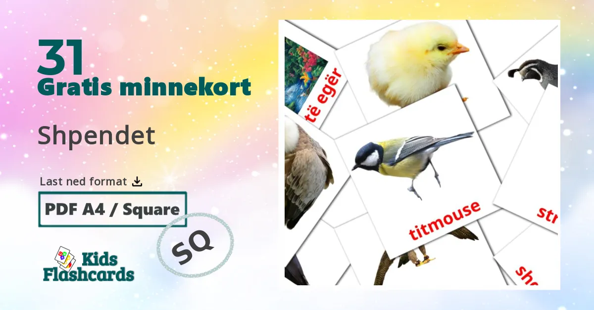 31 Shpendet bildekort