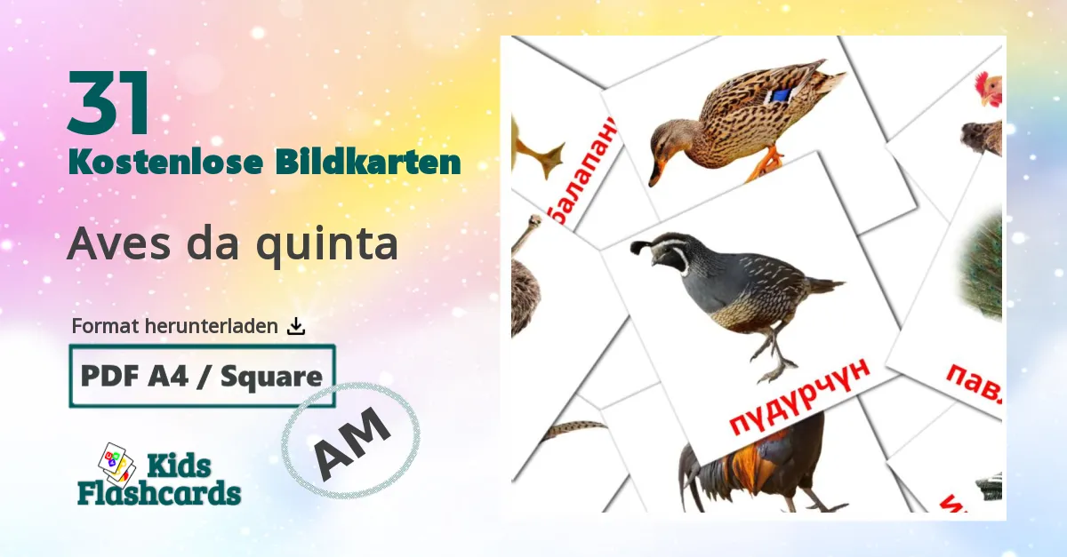 Bildkarten für Vögel