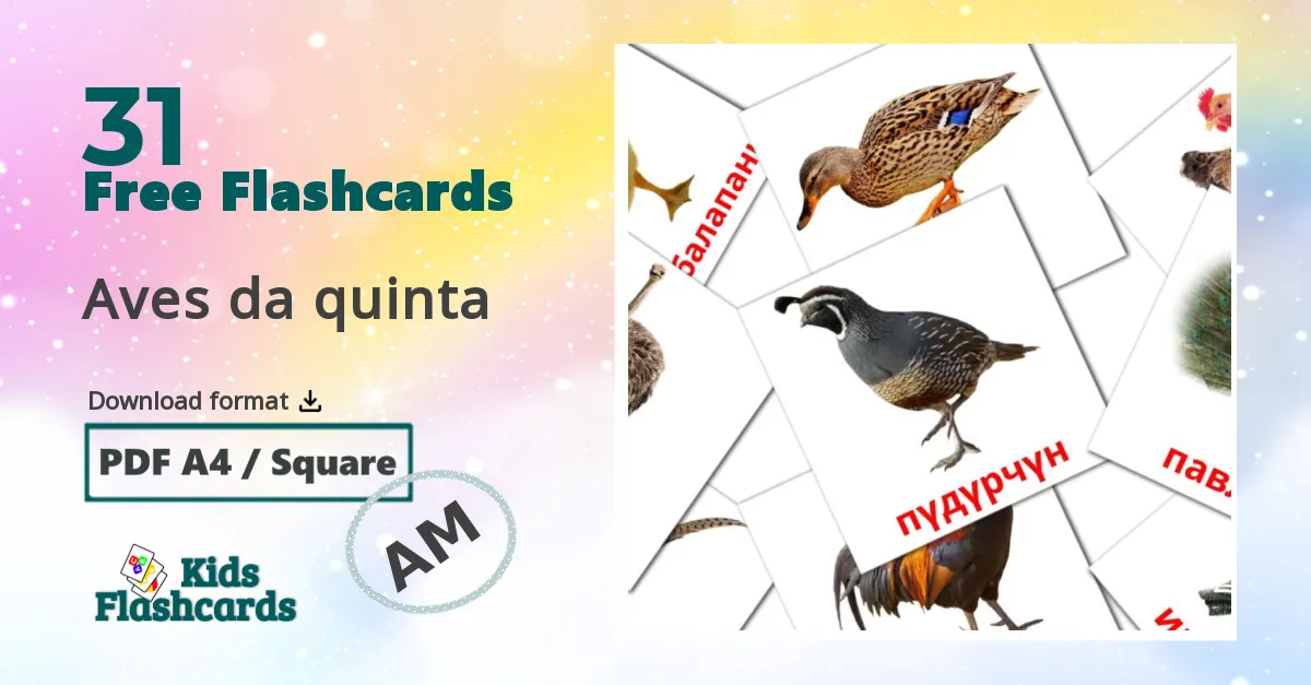 Birds flashcards