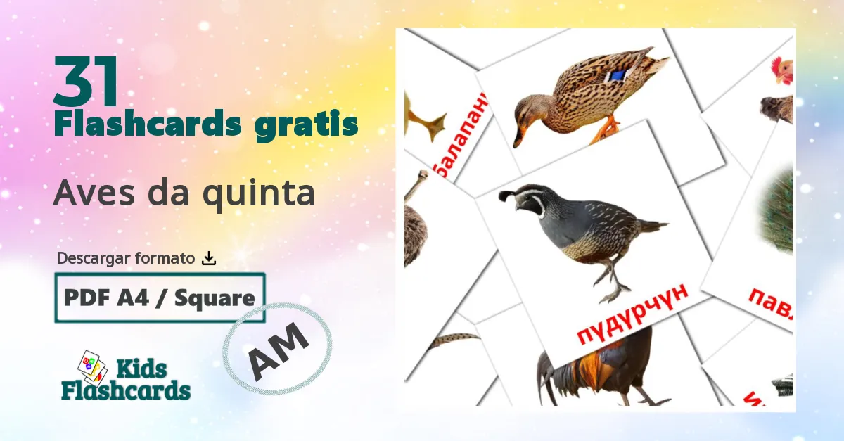 tarjetas didacticas de Aves