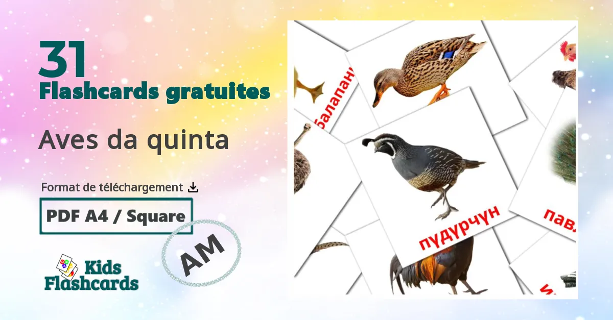 Imagiers Oiseaux