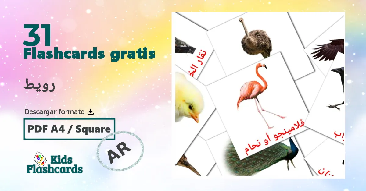 árabe tarjetas de vocabulario en رويط