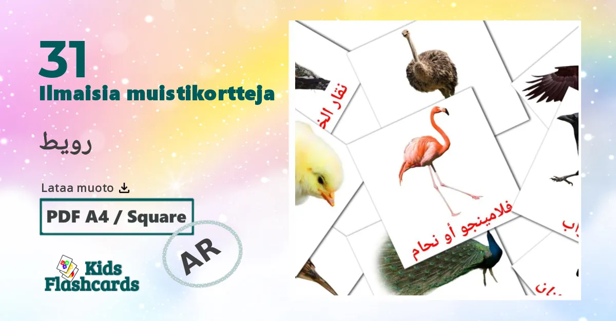 رويط – lasten kuvakortit arabicksi sanastoon