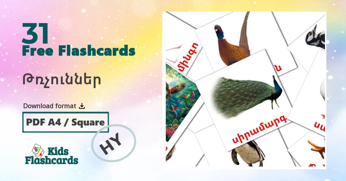 Birds flashcards