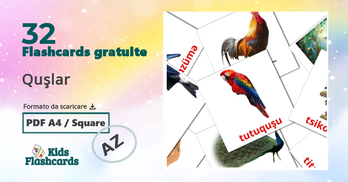 flashcards di Uccelli