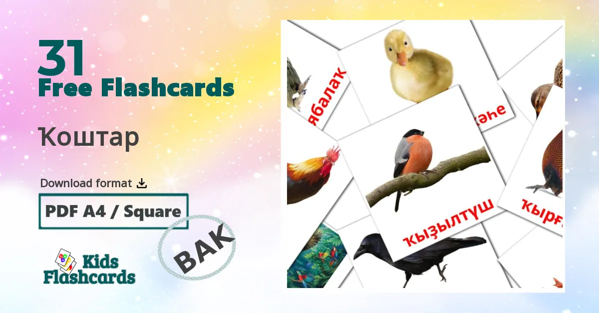 Ҡоштар bashkir vocabulary flashcards