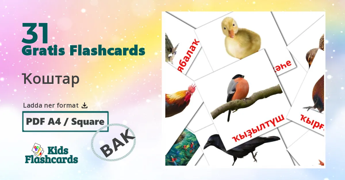 Ҡоштар baskir ordkort