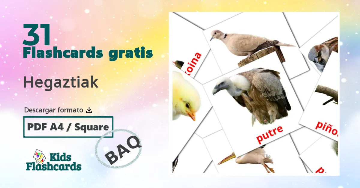 tarjetas didacticas de Aves