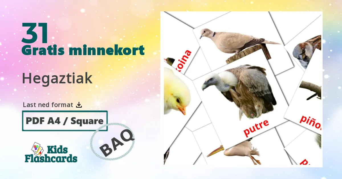 Fåglar bildekort