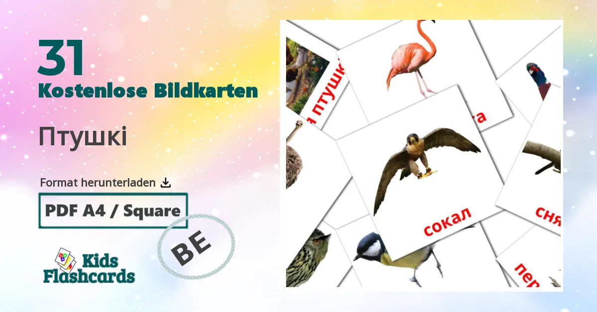 Bildkarten für Vögel