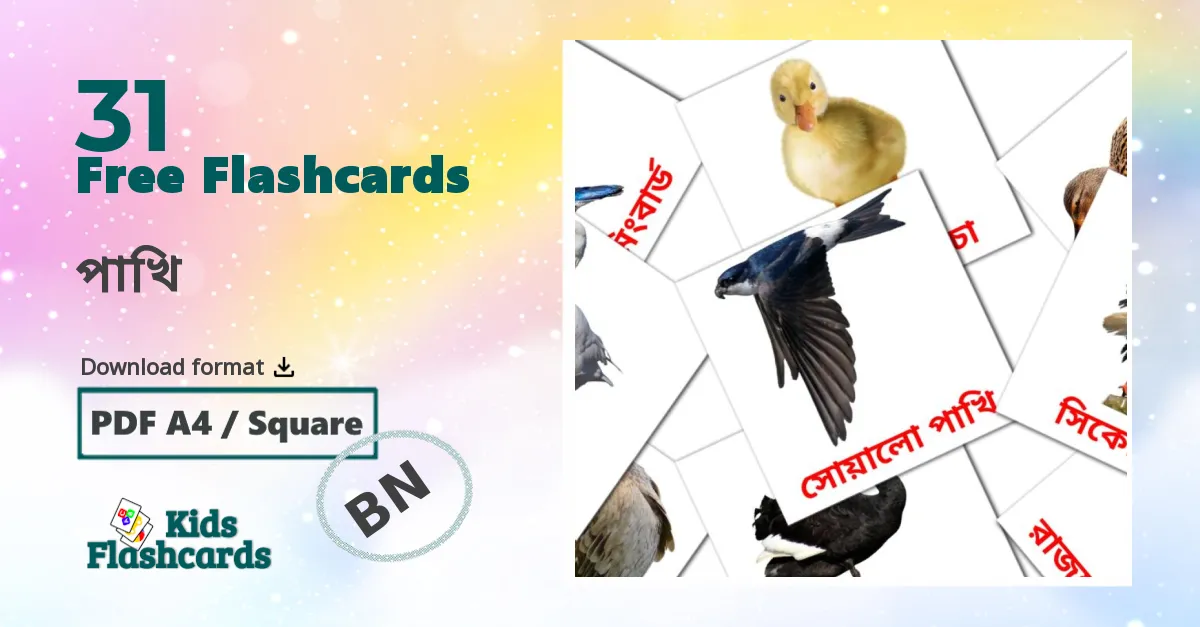 পাখি bengali vocabulary flashcards