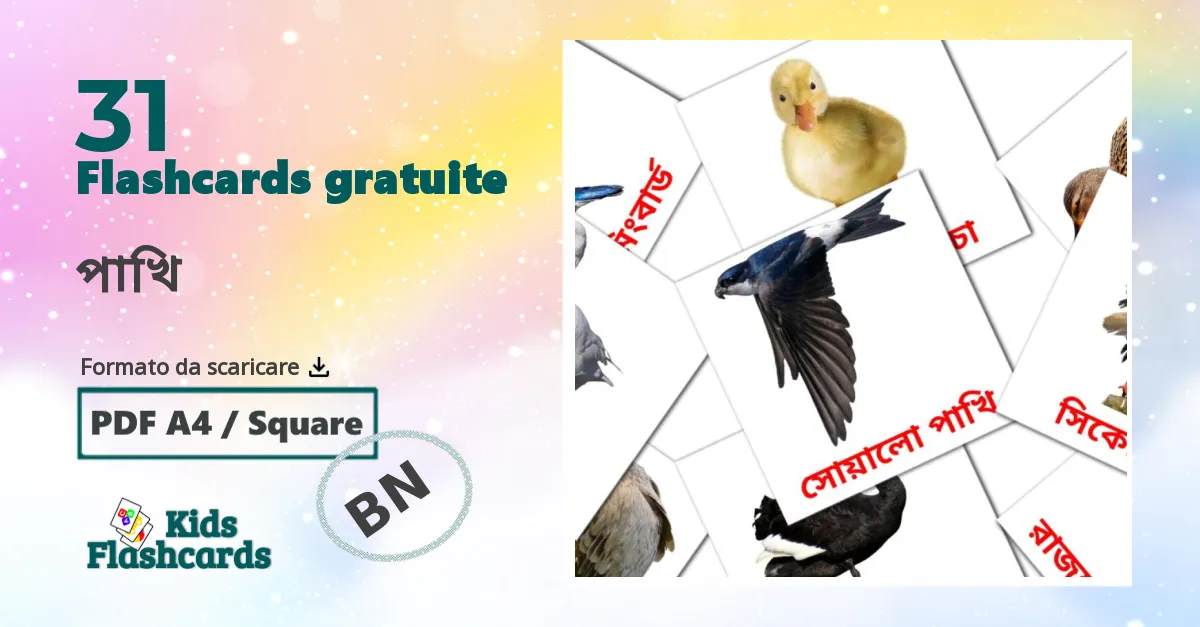 flashcards di Uccelli