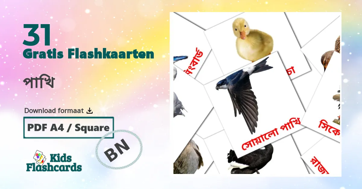 Vogels flashcards