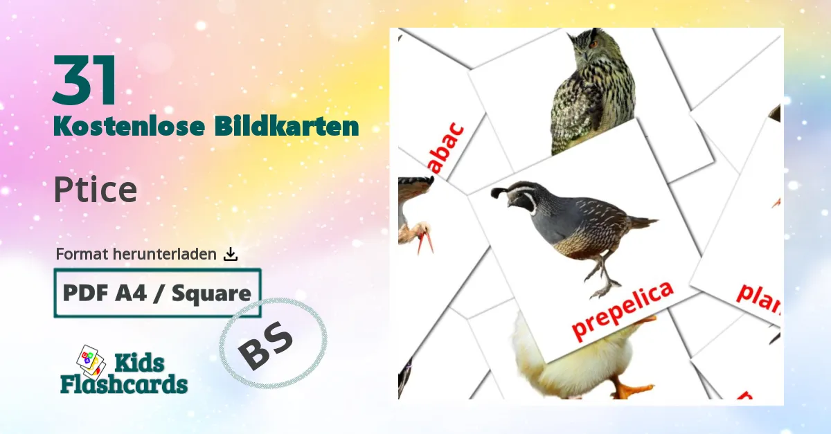 31 Bildkarten für Ptice