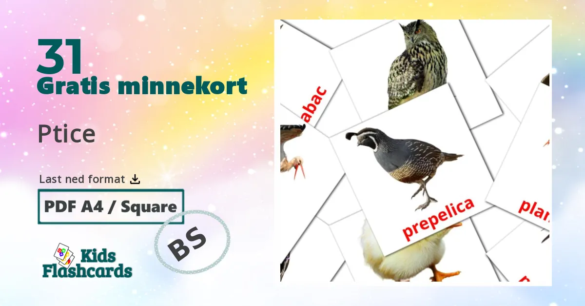 Ptice bildekort for barn på bosnisk