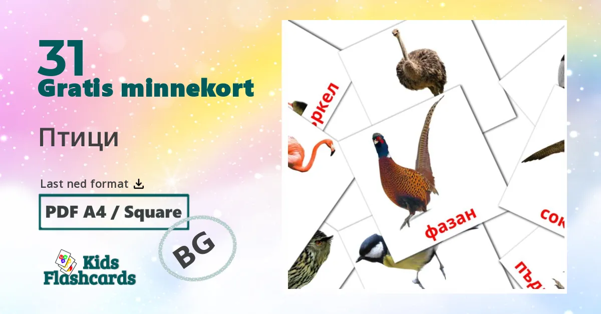Fugler bildekort