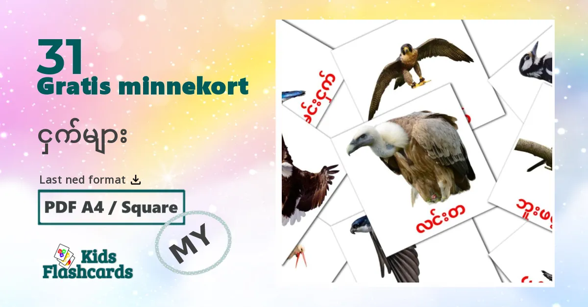 ငှက်များ bildekort for barn på burmesisk