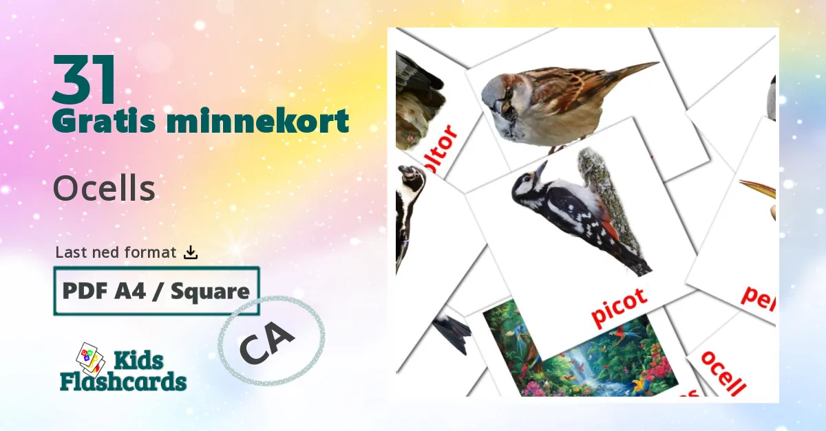 Ocells bildekort for barn på katalansk