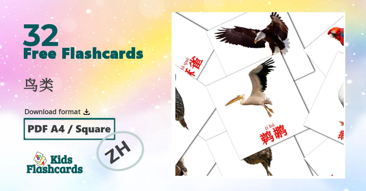 鸟类 chinese(Simplified) vocabulary flashcards