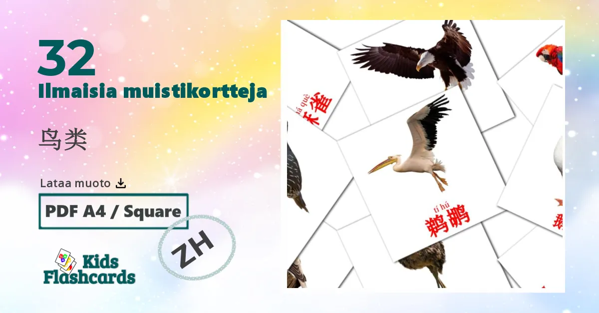 鸟类 – lasten kuvakortit kiinaksi(yksinkertaistettu) sanastoon