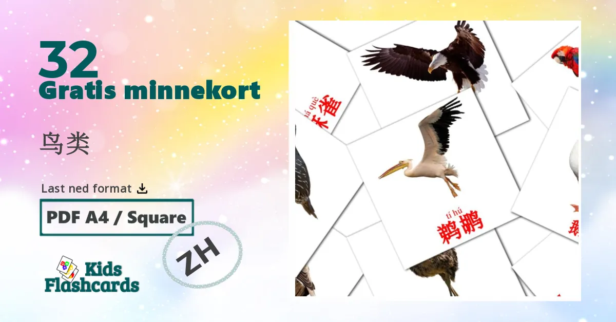 鸟类 bildekort for barn på kinesisk(forenklet)