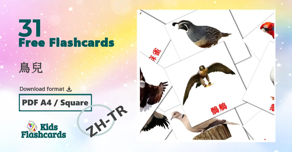 鳥兒 chinese(Traditional) vocabulary flashcards