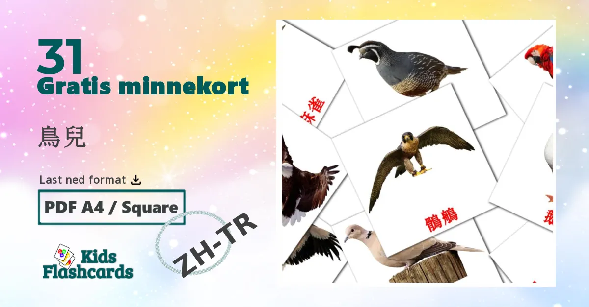 鳥兒 bildekort for barn på kinesisk(tradisjonell)