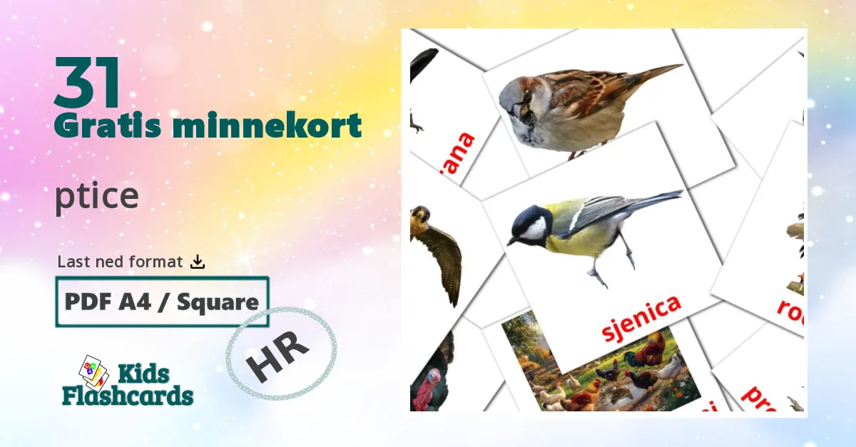 ptice bildekort for barn på kroatisk