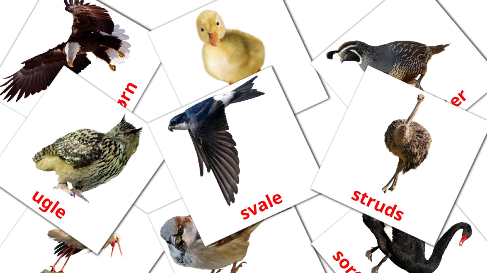 Fugle Flashcards di vocabolario dansk