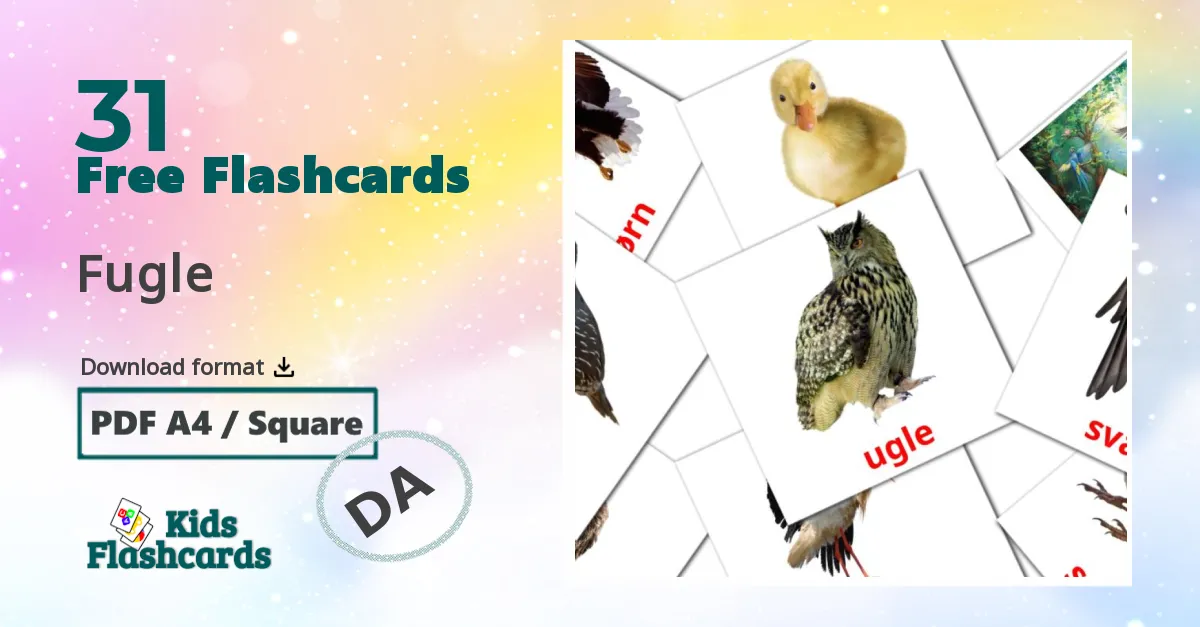 Birds flashcards