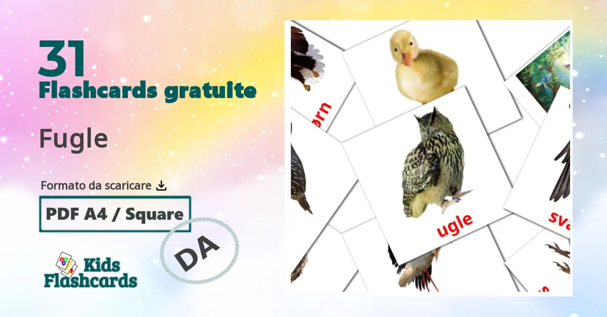 flashcards di Uccelli