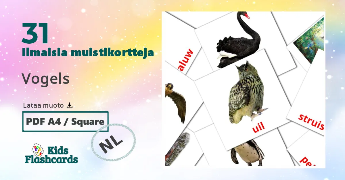 Vogels – lasten kuvakortit hollanninksi sanastoon